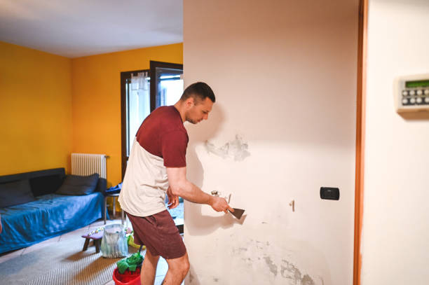 Best Crawl Space Mold Remediation in Jamestown, OH