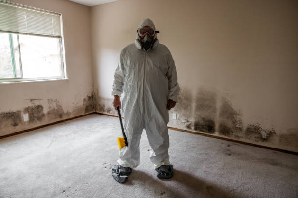 Best HVAC Mold Remediation in Jamestown, OH